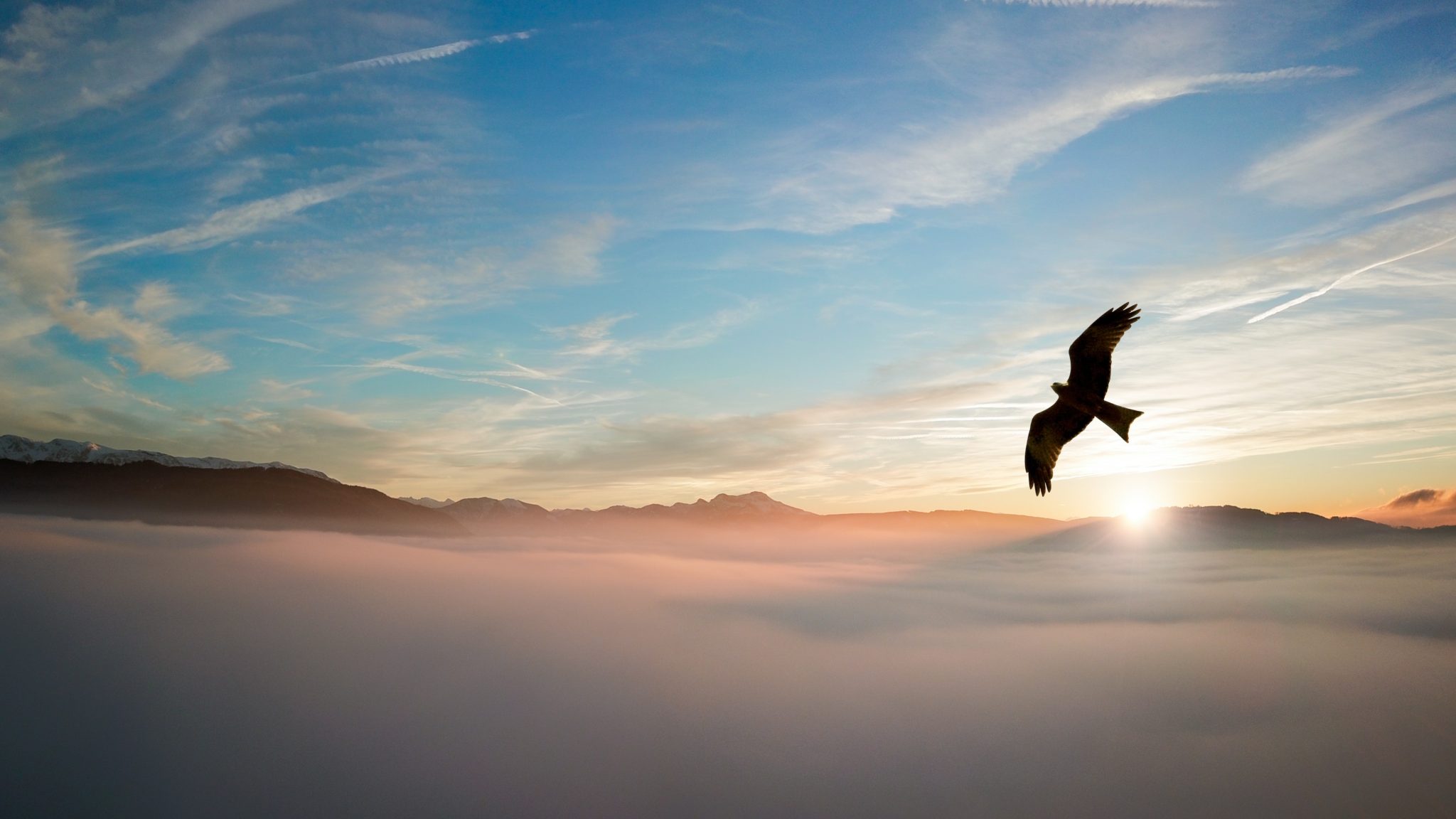 Set to soar - eagle flying over mountains through the clouds with the sun setting in the background