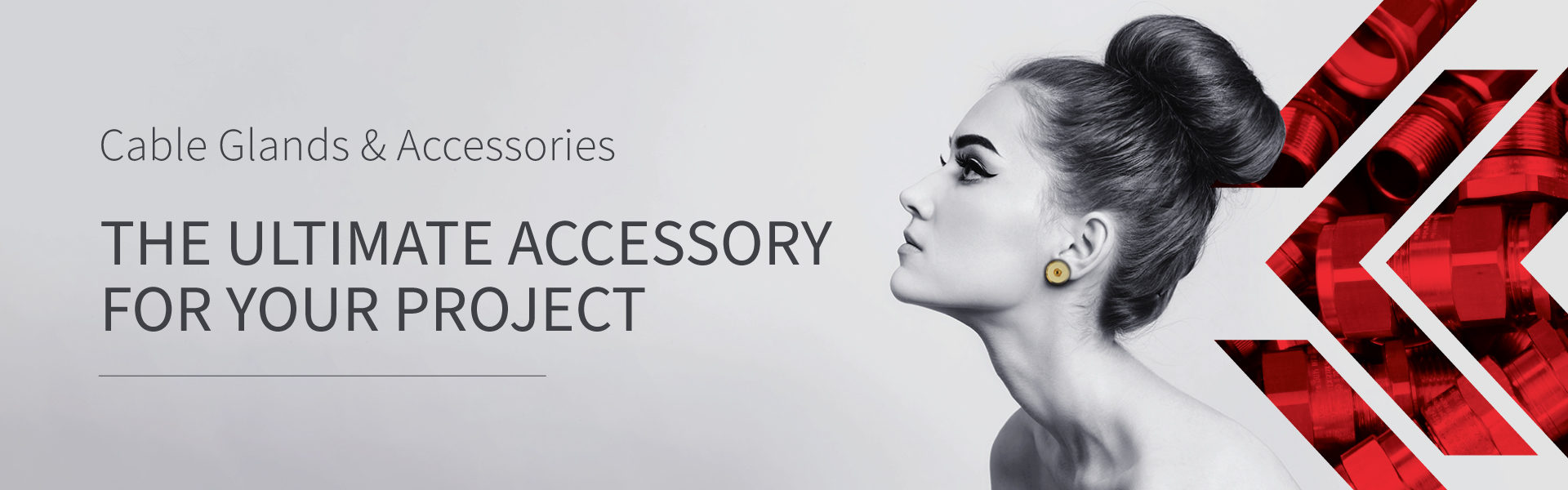 Ultimate-Accessory-Campaign-2024_web-banner_v2